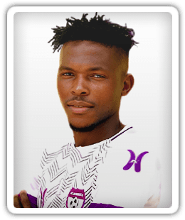 Wilfried Goua