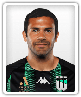 Nikolai Topor-Stanley