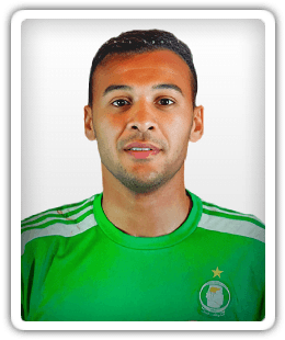 Anis Saltou