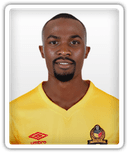 Godfrey Ngwenya