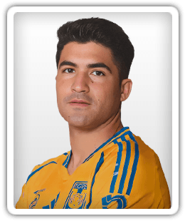 Nicolás Ibáñez