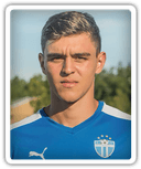 Ajdin Fetahagic