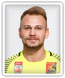Semir Karalic