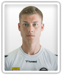 Lukas Malicsek