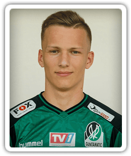 Sebastian Handlechner