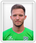 Nikola Trkulja