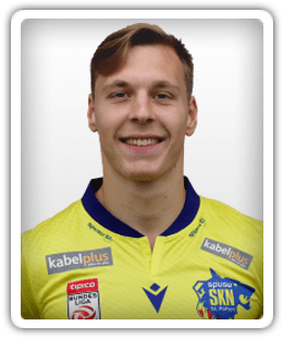 Martin Majnovics