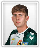 Dominik Sulzer