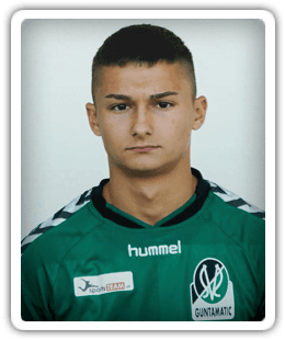 Erwin Burzic