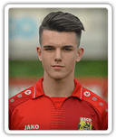 Adin Salihovic