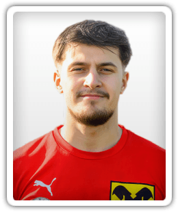 Almin Veladzic