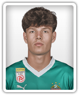Nicolas Bajlicz
