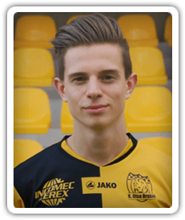 Domien Schelstraete