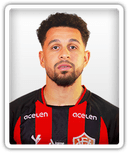 Wellington Nem