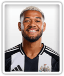 Joelinton