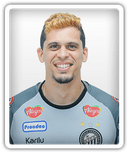 Rodrigo Viana