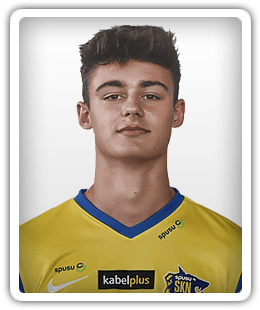 David Gallei
