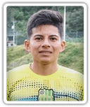 Anderson Torres