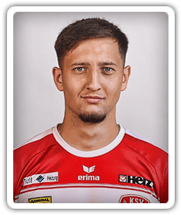 Sanel Bajrektarevic