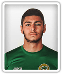 Mohamed Mameshev
