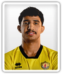 Ali Karami