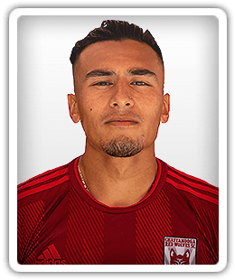 Ronaldo Pineda