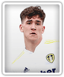 Joe Littlewood