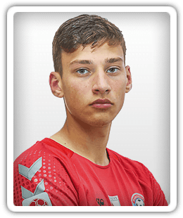 Martin Perveinis