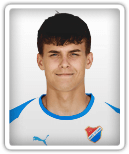 Michal Sekanina