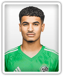 Hamza Shibli