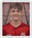Leon Vilter
