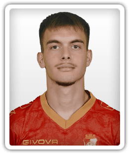 Mihajlo Petković