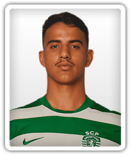 Picture of Rafael Pontelo
