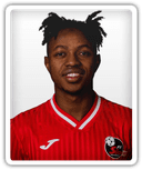 Ibrahim Olaosebikan