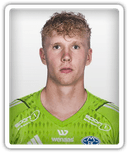 Peder Hoel Lervik