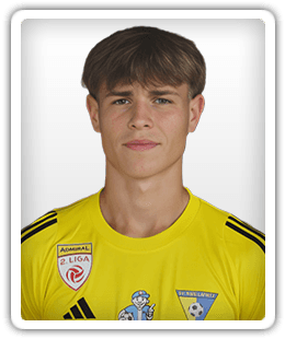 Ermin Mahmić