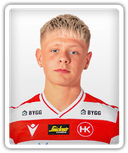 Kristján Snær Frostason