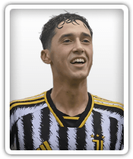 Diego Ripani