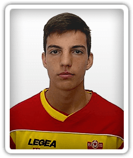 Nemanja Carević