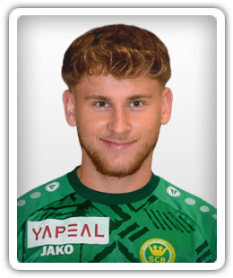 Edmir Zulic
