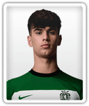 Rodrigo Ribeiro