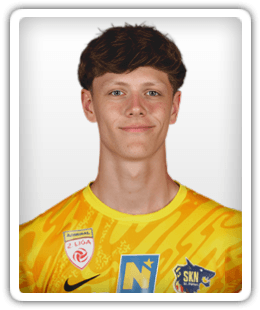 Erik Baranyai-Ulvestad