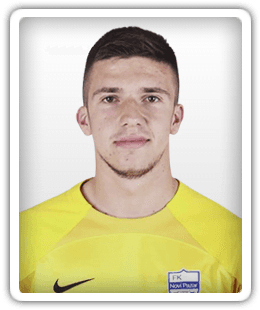 Almin Kahrimanović