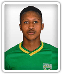 Sazi Gumbi