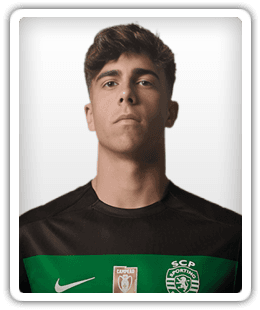 Afonso Moreira