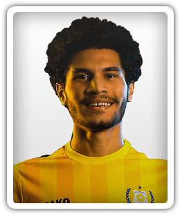 Mohamed Abdelsamia