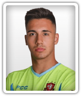 Faruk Dalipagić