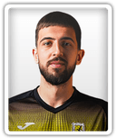 Nemanja Gavrić