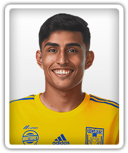 Fernando González Peña