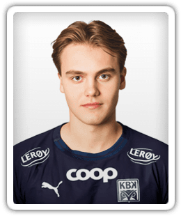 Leander Alvheim